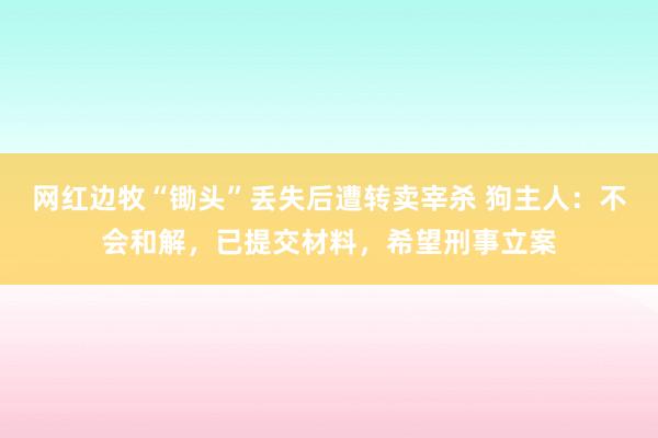网红边牧“锄头”丢失后遭转卖宰杀 狗主人：不会和解，已提交材料，希望刑事立案