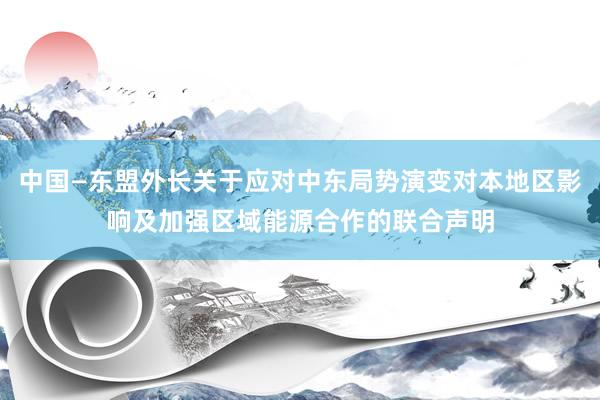 中国—东盟外长关于应对中东局势演变对本地区影响及加强区域能源合作的联合声明