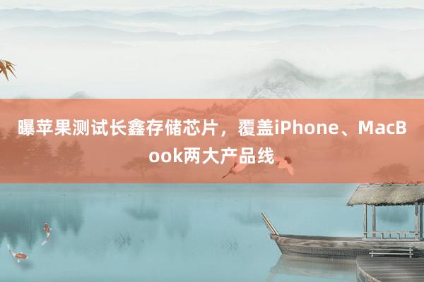 曝苹果测试长鑫存储芯片，覆盖iPhone、MacBook两大产品线