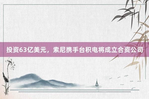 投资63亿美元，索尼携手台积电将成立合资公司
