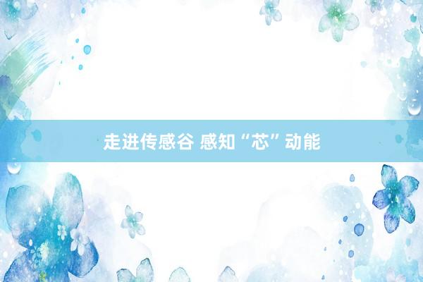 走进传感谷 感知“芯”动能
