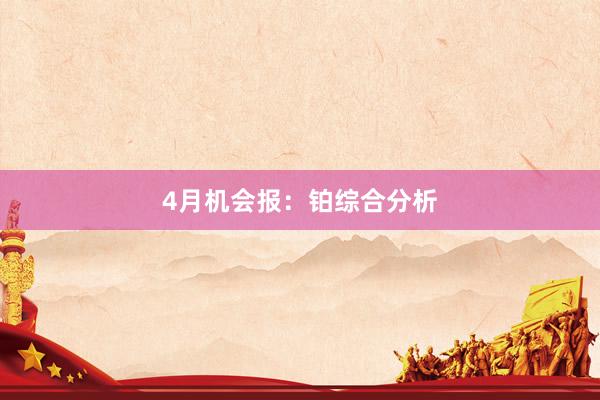 4月机会报：铂综合分析