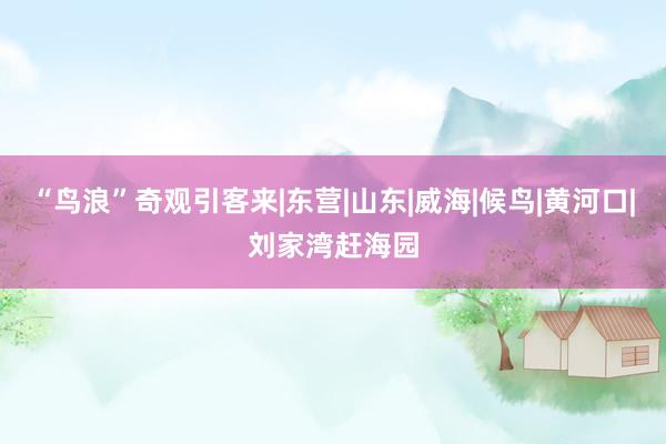 “鸟浪”奇观引客来|东营|山东|威海|候鸟|黄河口|刘家湾赶海园
