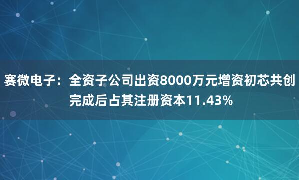 赛微电子：全资子公司出资8000万元增资初芯共创 完成后占其注册资本11.43%