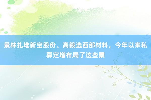 景林扎堆新宝股份、高毅选西部材料，今年以来私募定增布局了这些票