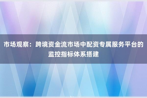 市场观察：跨境资金流市场中配资专属服务平台的监控指标体系搭建