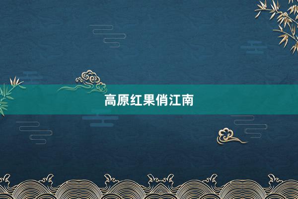 高原红果俏江南