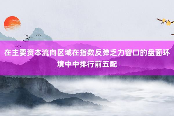 在主要资本流向区域在指数反弹乏力窗口的盘面环境中中排行前五配