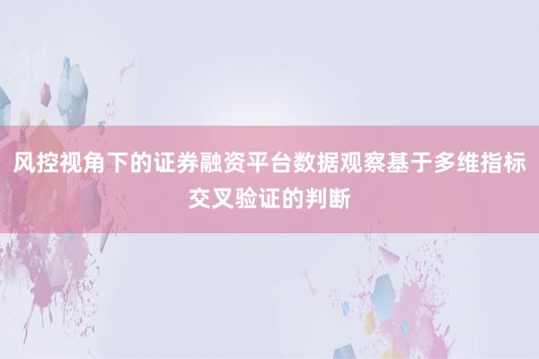 风控视角下的证券融资平台数据观察基于多维指标交叉验证的判断