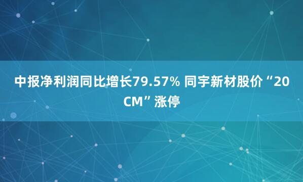 中报净利润同比增长79.57% 同宇新材股价“20CM”涨停