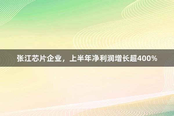 张江芯片企业，上半年净利润增长超400%