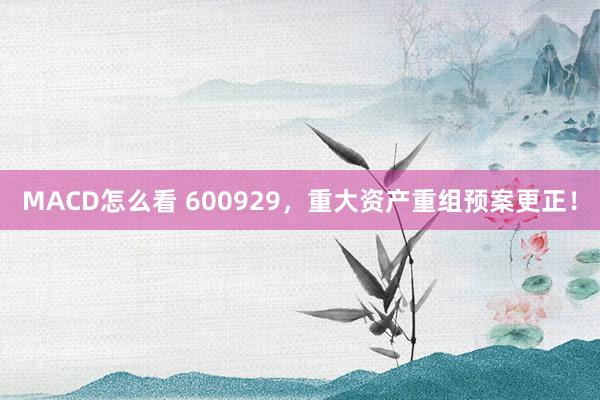 MACD怎么看 600929，重大资产重组预案更正！