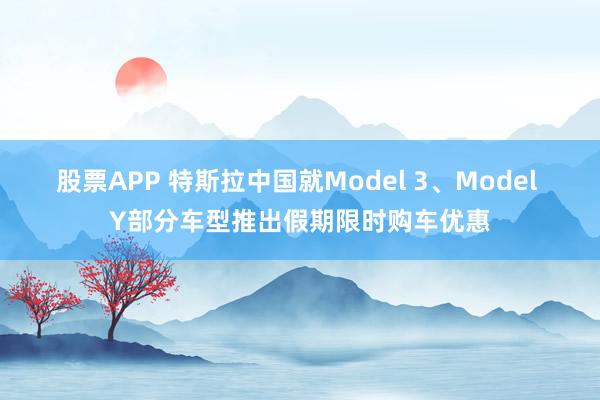 股票APP 特斯拉中国就Model 3、Model Y部分车型推出假期限时购车优惠