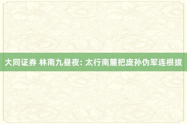 大同证券 林南九昼夜: 太行南麓把庞孙伪军连根拔