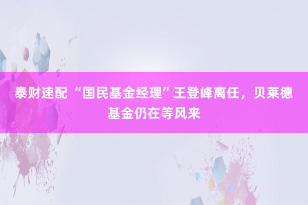 泰财速配 “国民基金经理”王登峰离任，贝莱德基金仍在等风来