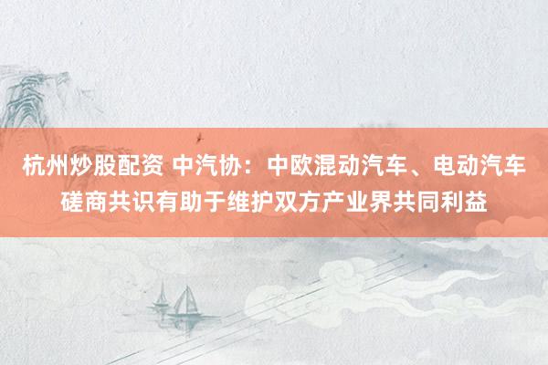 杭州炒股配资 中汽协：中欧混动汽车、电动汽车磋商共识有助于维护双方产业界共同利益